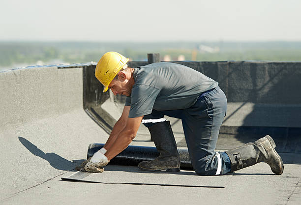 Best Specialized Insulation Services in Lockport, NY