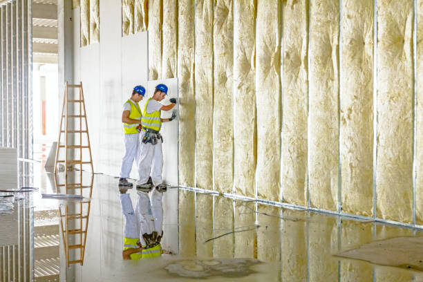 Best DIY Insulation Kits and Guidance in Lockport, NY